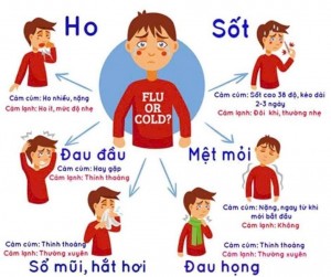 Bệnh cúm A là gì?